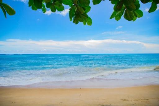 Sii Luxury 1 Bedroom Close To The Beach West Palm Beach Exterior foto